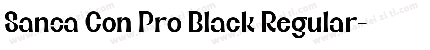 Sansa Con Pro Black Regular字体转换